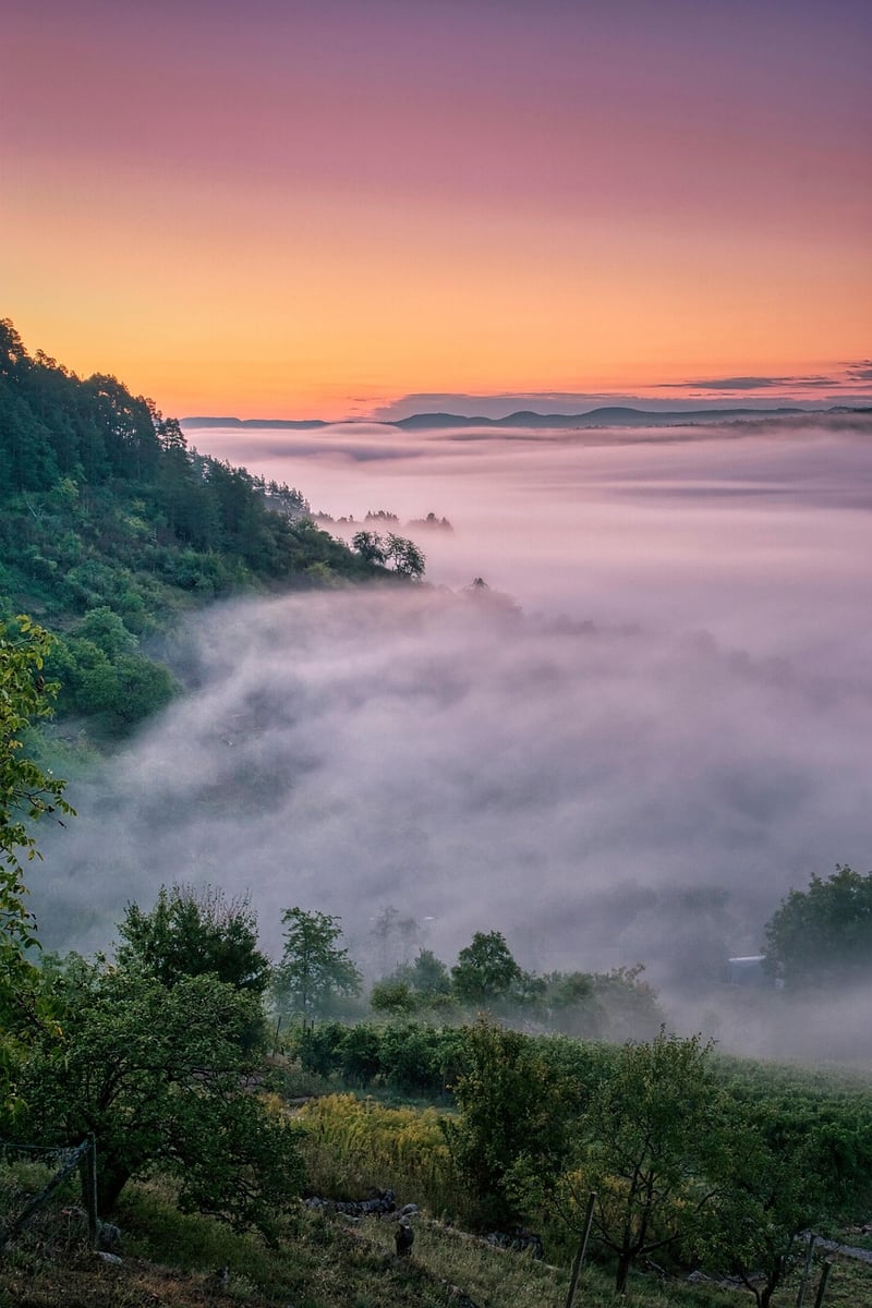 Fairytale Bliss