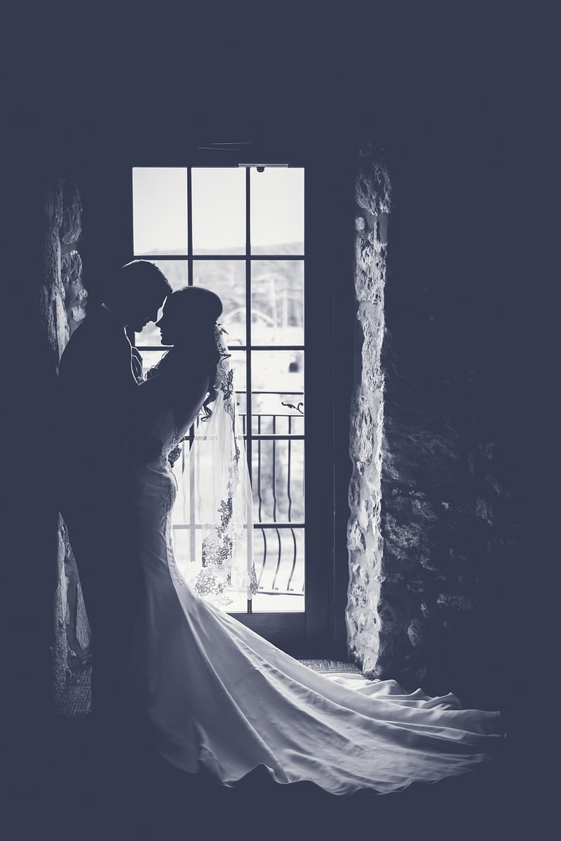 Bride's Wedding Dress
